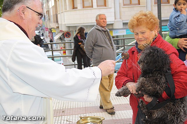 Bendicin animales - San Antn 2012 - 52