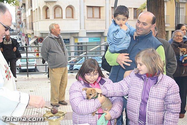 Bendicin animales - San Antn 2012 - 53