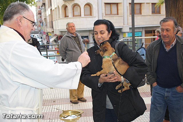 Bendicin animales - San Antn 2012 - 54