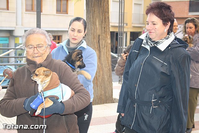 Bendicin animales - San Antn 2012 - 56