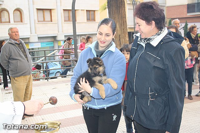 Bendicin animales - San Antn 2012 - 57