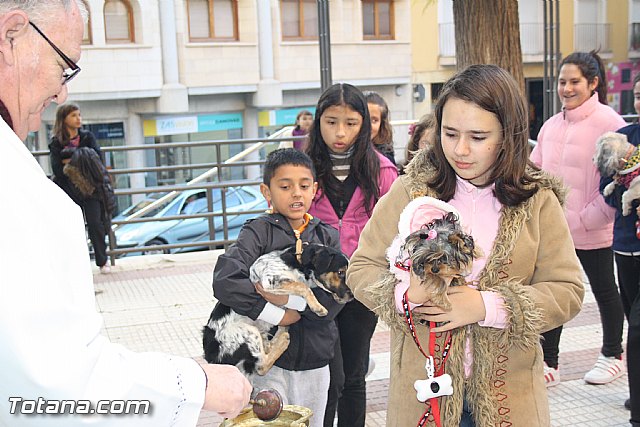 Bendicin animales - San Antn 2012 - 60