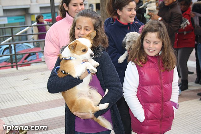 Bendicin animales - San Antn 2012 - 62