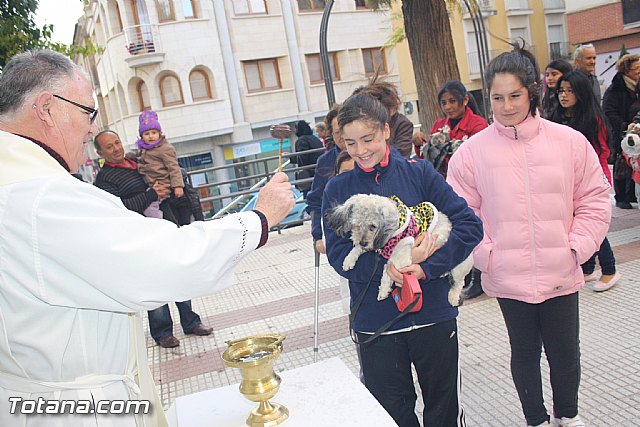 Bendicin animales - San Antn 2012 - 64