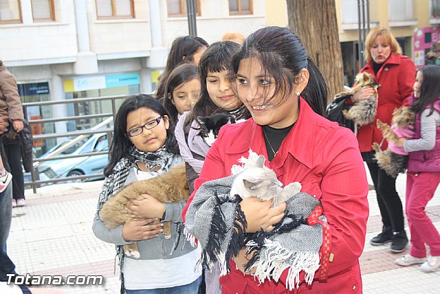 Bendicin animales - San Antn 2012 - 68