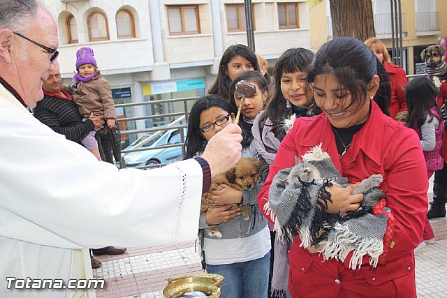 Bendicin animales - San Antn 2012 - 69