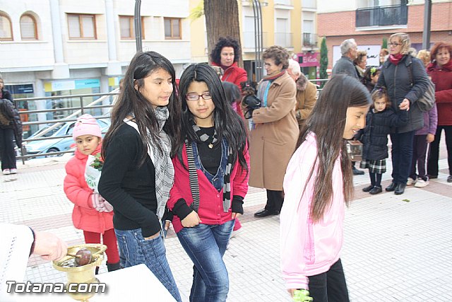 Bendicin animales - San Antn 2012 - 72