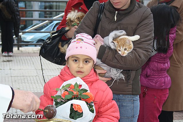 Bendicin animales - San Antn 2012 - 74