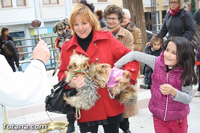 Bendicin animales - San Antn 2012 - 76