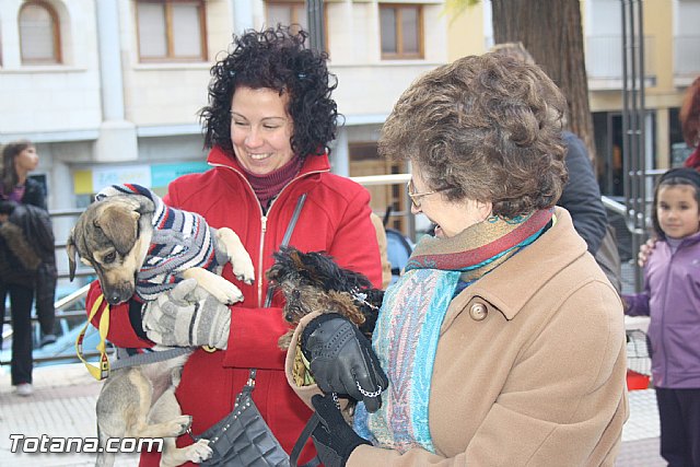 Bendicin animales - San Antn 2012 - 79