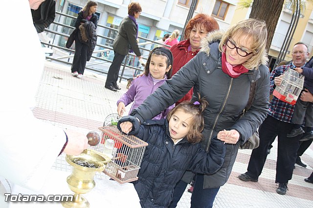 Bendicin animales - San Antn 2012 - 82