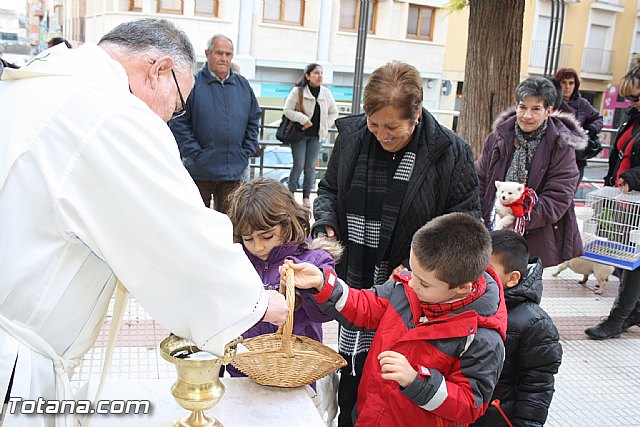 Bendicin animales - San Antn 2012 - 101