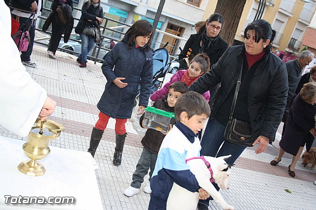 Bendicin animales - San Antn 2012 - 108