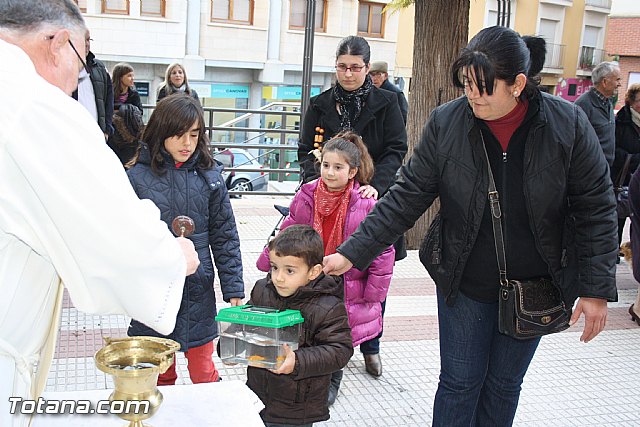 Bendicin animales - San Antn 2012 - 109