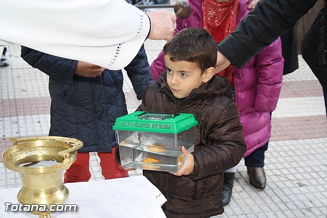 Bendicin animales - San Antn 2012 - 110