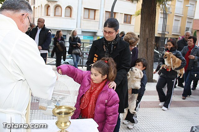 Bendicin animales - San Antn 2012 - 111