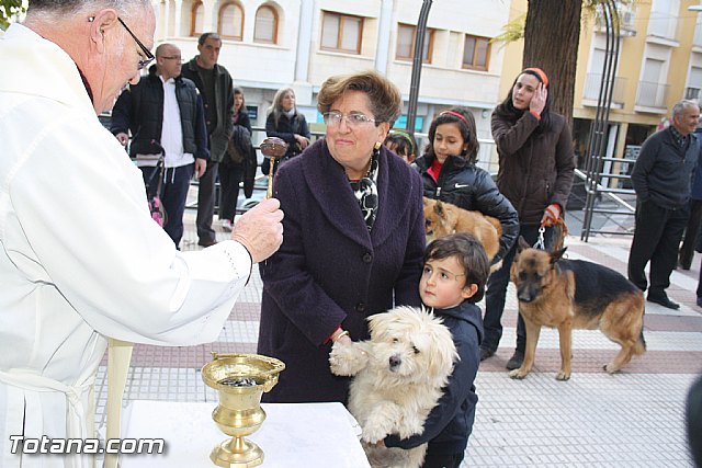 Bendicin animales - San Antn 2012 - 112