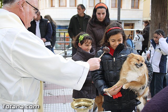 Bendicin animales - San Antn 2012 - 114