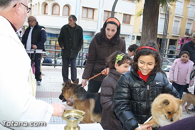 Bendicin animales - San Antn 2012 - 115