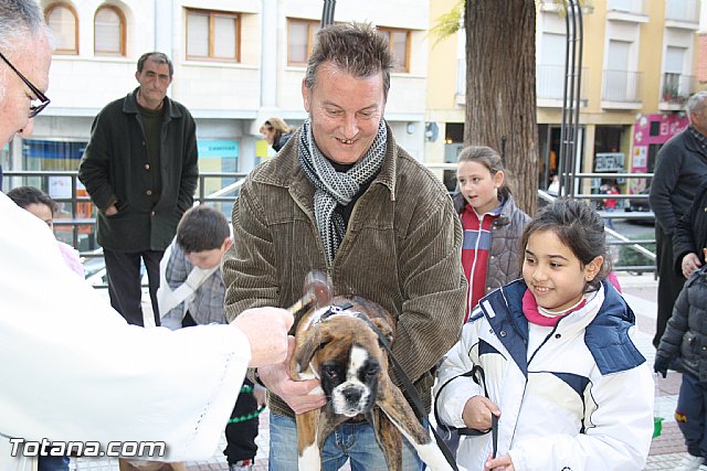 Bendicin animales - San Antn 2012 - 117