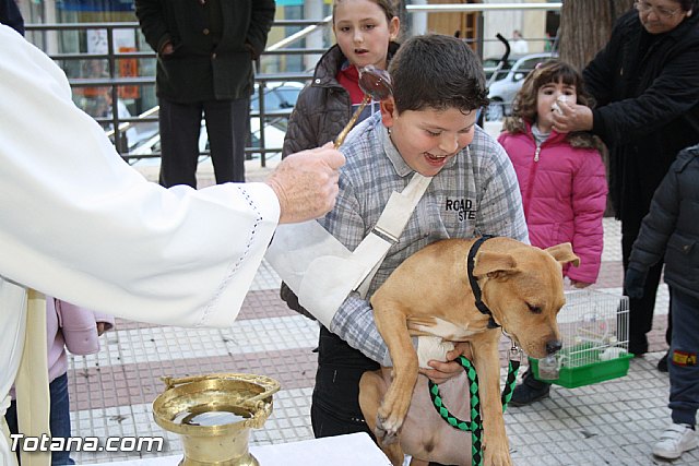 Bendicin animales - San Antn 2012 - 118