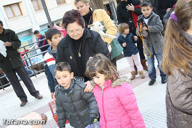 Bendicin animales - San Antn 2012 - 119