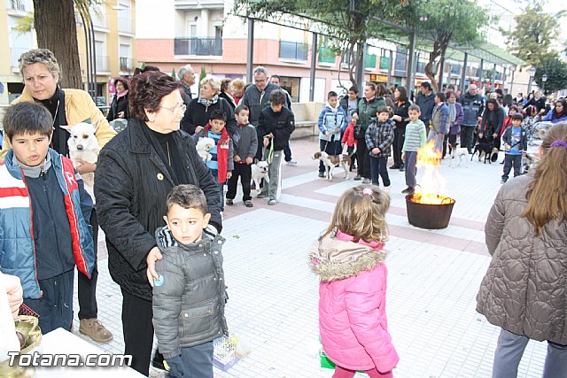 Bendicin animales - San Antn 2012 - 120