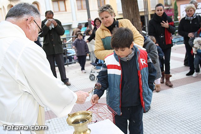 Bendicin animales - San Antn 2012 - 121