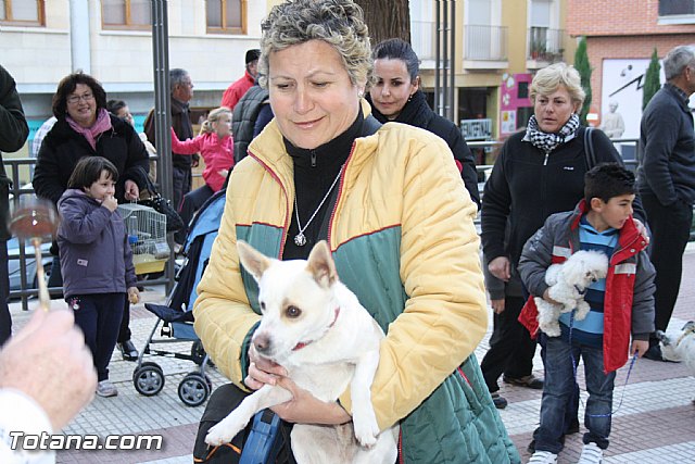 Bendicin animales - San Antn 2012 - 122