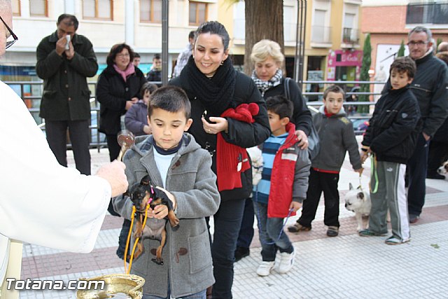 Bendicin animales - San Antn 2012 - 123