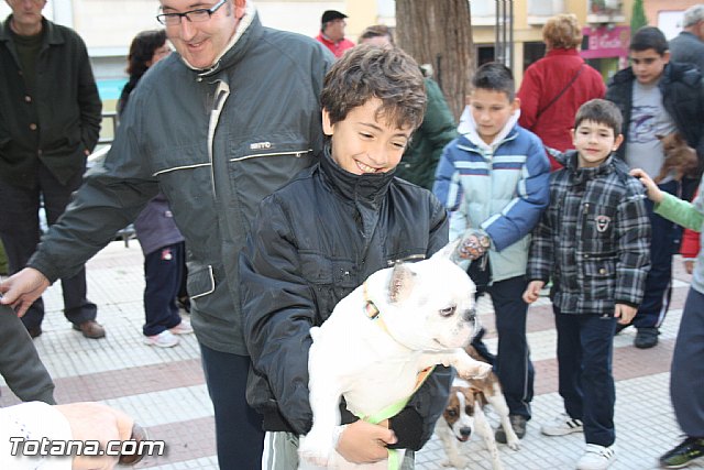 Bendicin animales - San Antn 2012 - 124