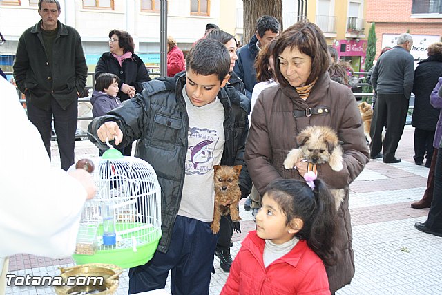 Bendicin animales - San Antn 2012 - 126