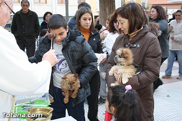 Bendicin animales - San Antn 2012 - 127