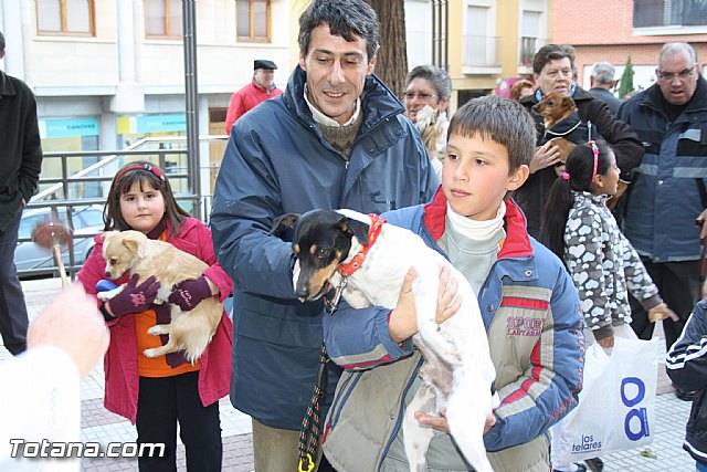 Bendicin animales - San Antn 2012 - 130