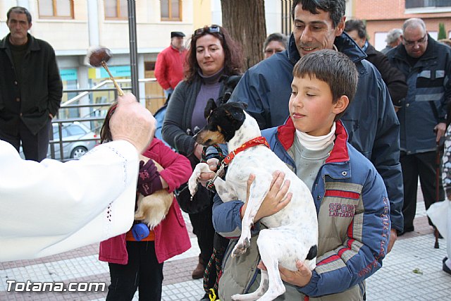 Bendicin animales - San Antn 2012 - 131