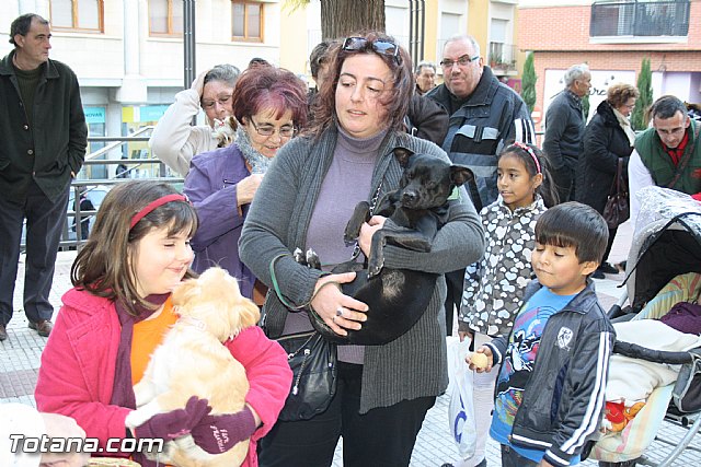 Bendicin animales - San Antn 2012 - 132