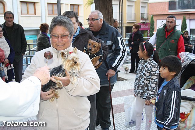 Bendicin animales - San Antn 2012 - 133
