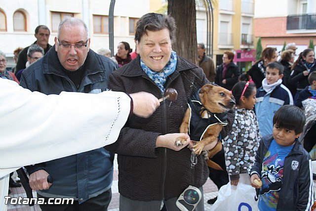 Bendicin animales - San Antn 2012 - 134