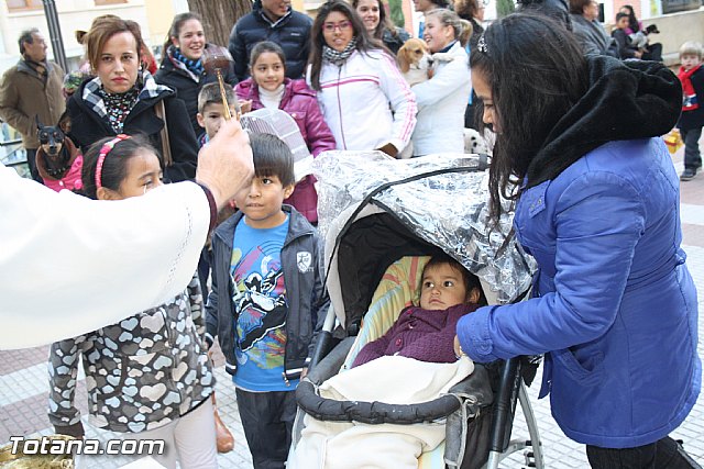 Bendicin animales - San Antn 2012 - 136