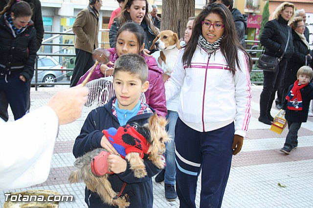 Bendicin animales - San Antn 2012 - 138