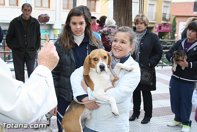 Bendicin animales - San Antn 2012 - 140