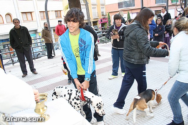 Bendicin animales - San Antn 2012 - 141