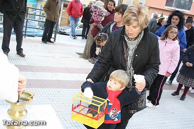 Bendicin animales - San Antn 2012 - 142