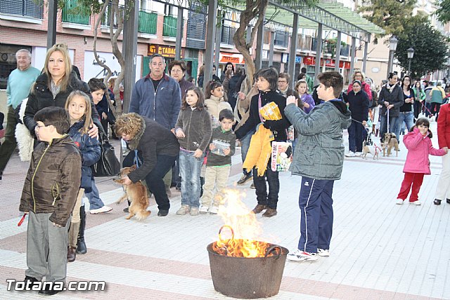 Bendicin animales - San Antn 2012 - 143