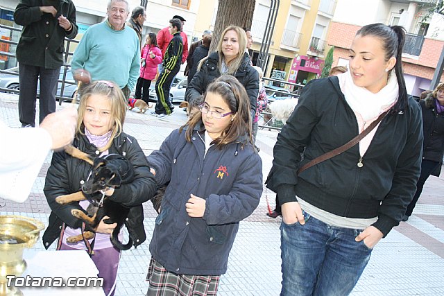 Bendicin animales - San Antn 2012 - 147