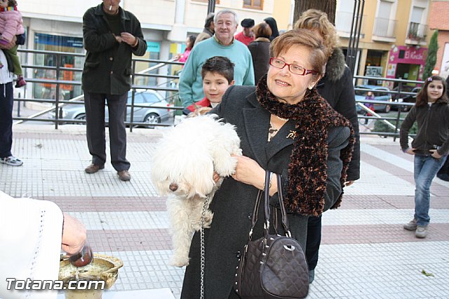 Bendicin animales - San Antn 2012 - 149