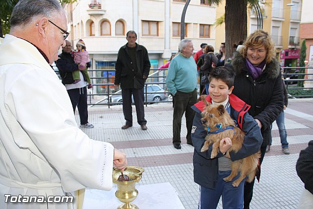 Bendicin animales - San Antn 2012 - 150