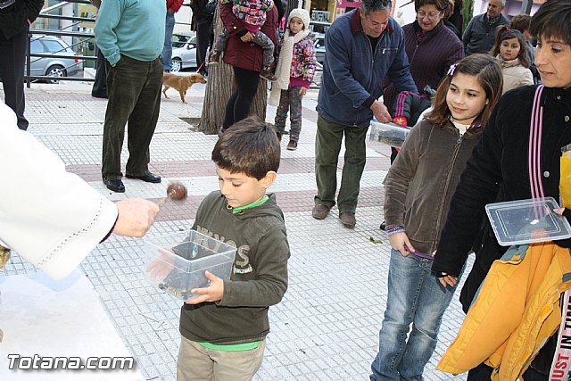 Bendicin animales - San Antn 2012 - 151
