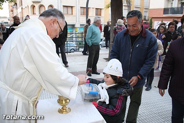 Bendicin animales - San Antn 2012 - 153