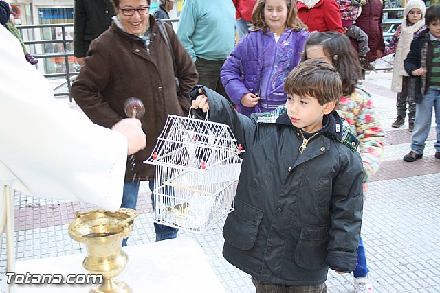 Bendicin animales - San Antn 2012 - 154